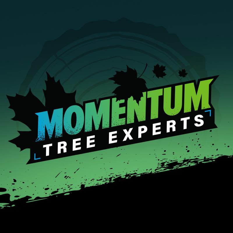 Momentum Tree Experts